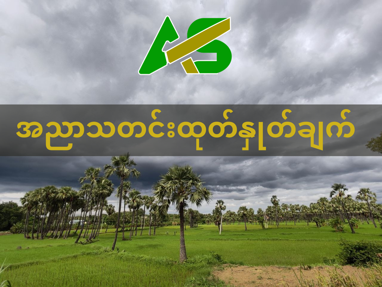 အညာသတင်းထုတ်နှုတ်ချက် (13-21 January 2025)