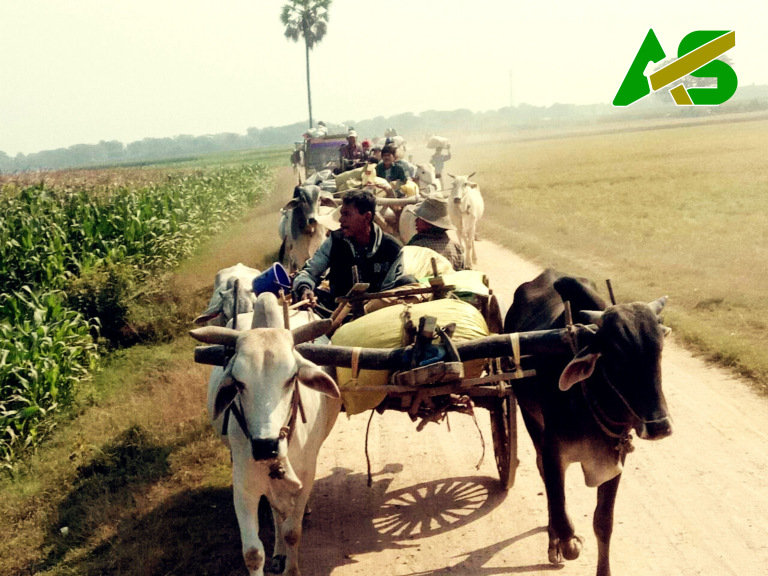 Myanmar’s Spring Revolution: Paying the Price for What We Overlooked?