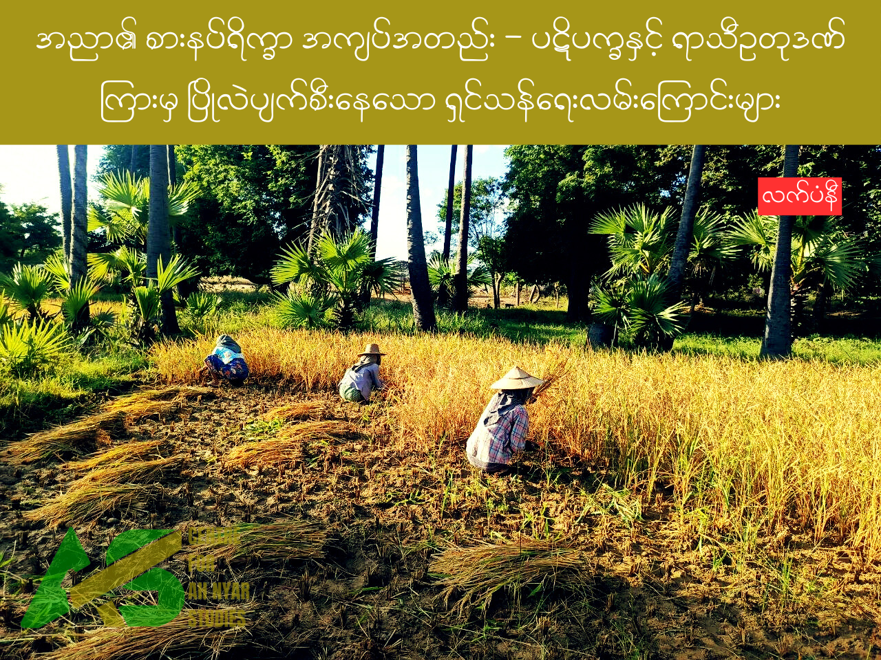 အညာ၏ စားနပ်ရိက္ခာ အကျပ်အတည်း – ပဋိပက္ခနှင့် ရာသီဥတုဒဏ်ကြားမှ ပြိုလဲပျက်စီးနေသော ရှင်သန်ရေးလမ်းကြောင်းများ